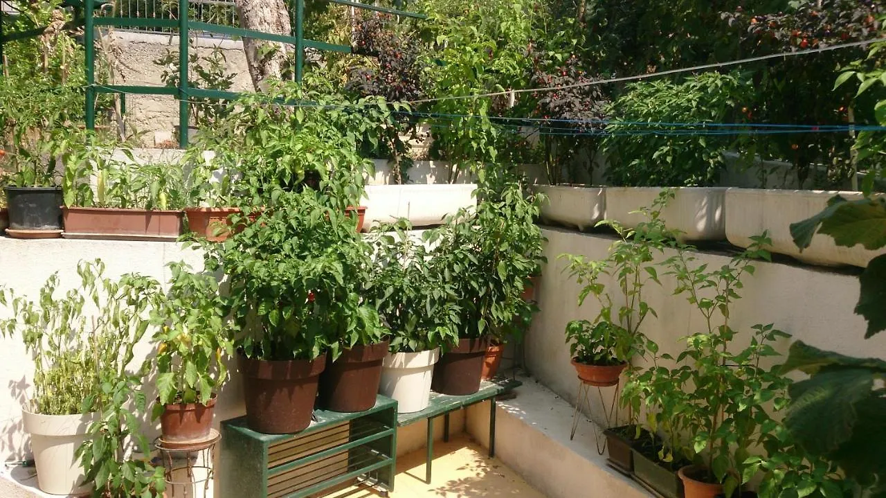 Apartman Paro Split Croatia