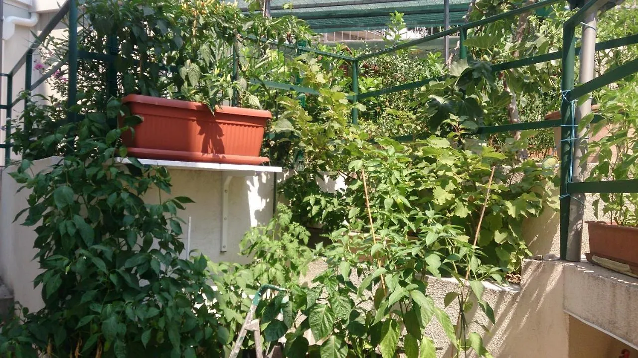 Apartman Paro Split